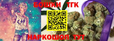 индика Канаш